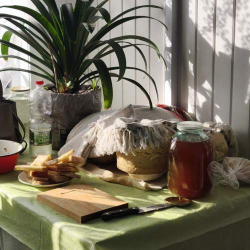 Photo #13040656