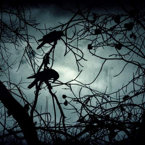 Фотография #13041047