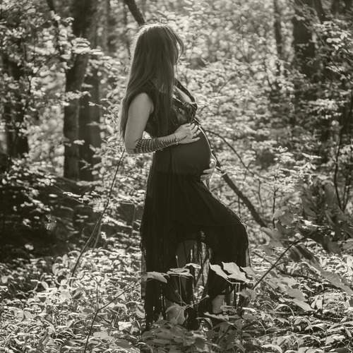 Photo #13041370