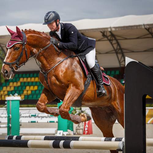 Фотография #13041440