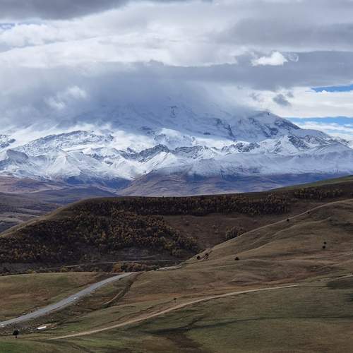 Photo #13041459