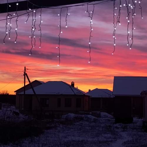 Photo #13041619