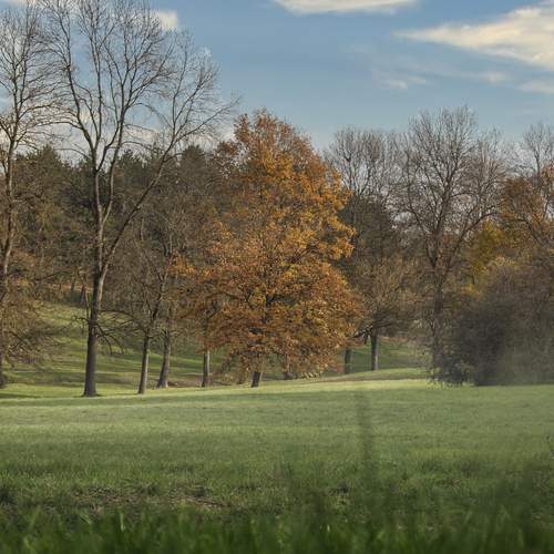 Photo #13041752