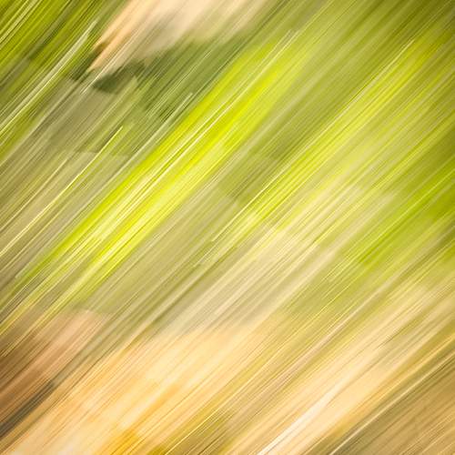 Photo #13041806