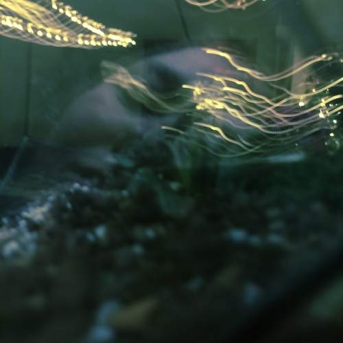Photo #13041866