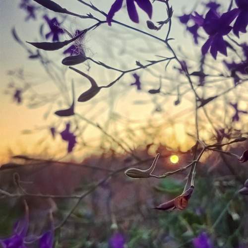 Photo #13041897