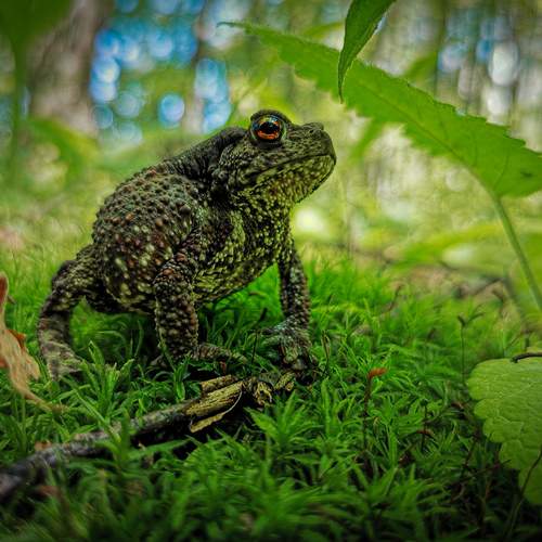 Photo #13041904