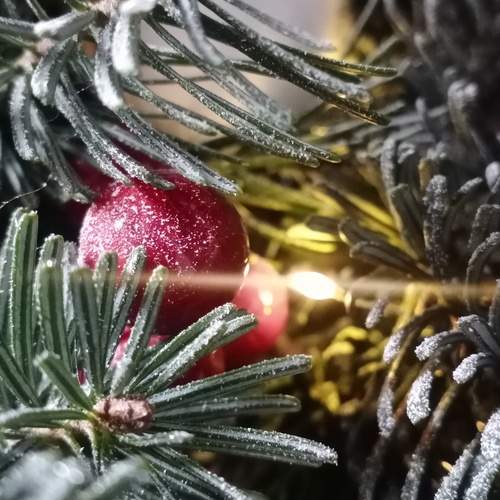 Photo #13041916