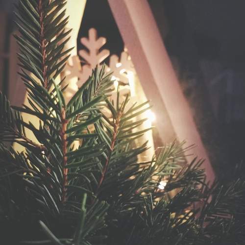 Photo #13041918