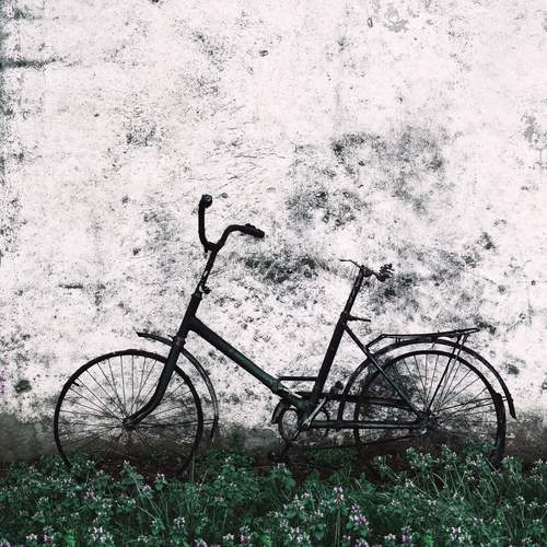 Фотография #13041932