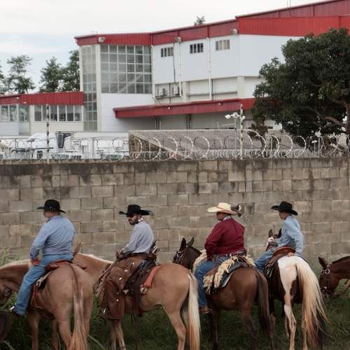 Photo #13041943
