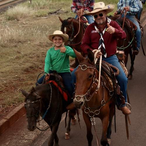 Photo #13041944