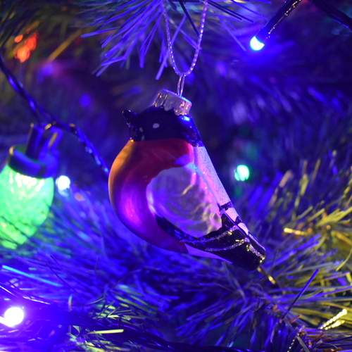 Photo #13041956