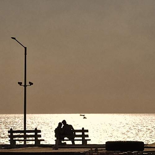 Photo #13042033