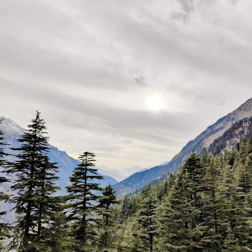 Photo #13042047