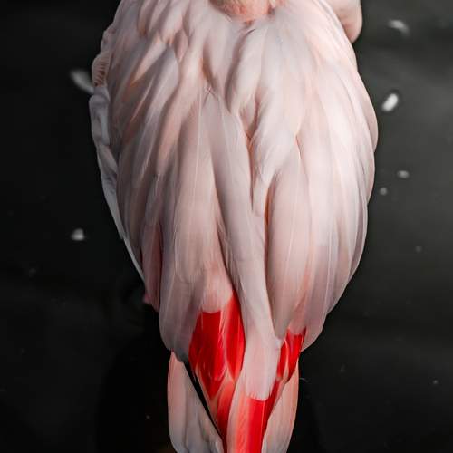 Photo #13042085