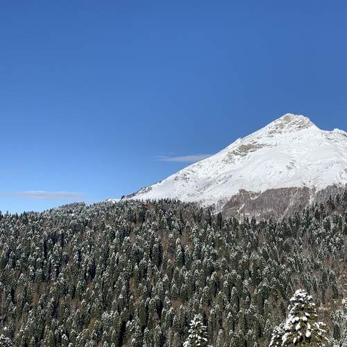 Photo #13042220