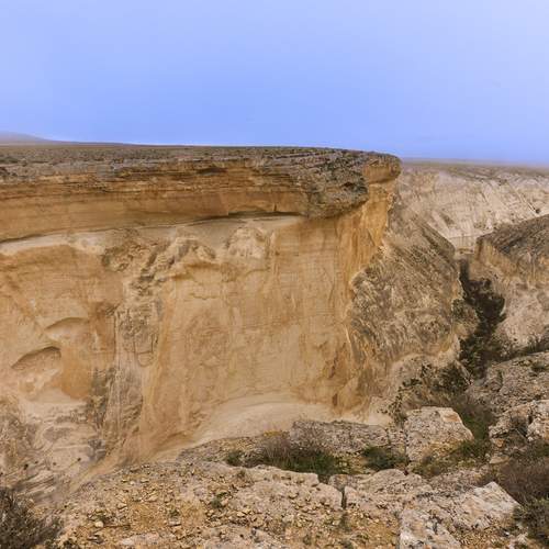 Photo #13042222