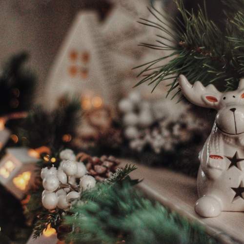 Photo #13042306