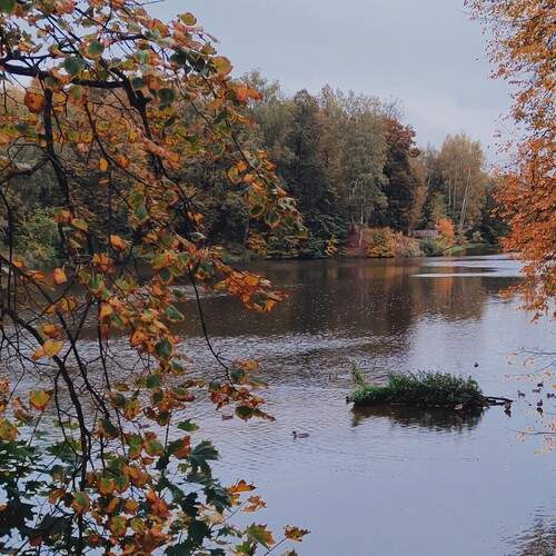 Photo #13042328