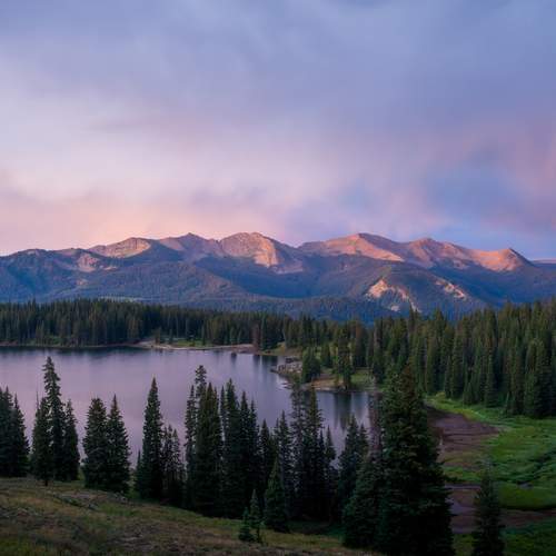 Photo #13042369