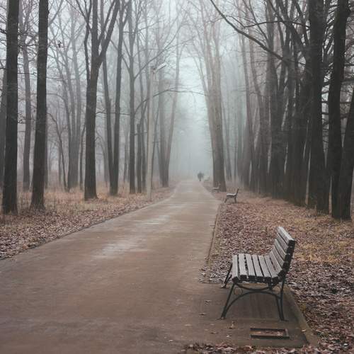 Photo #13042382
