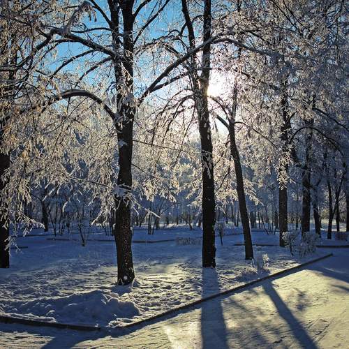 Самара. Загородный парк.