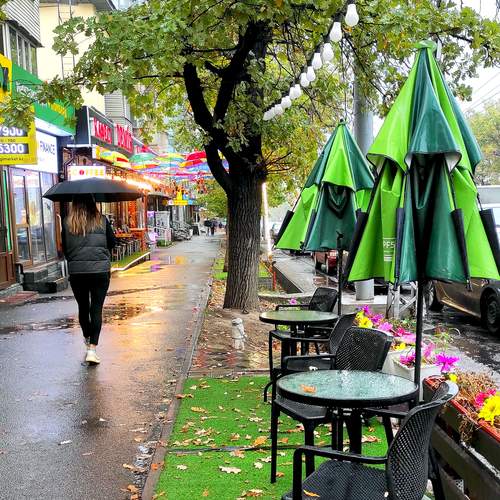 Photo #13042679