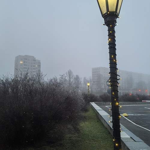 Photo #13042735