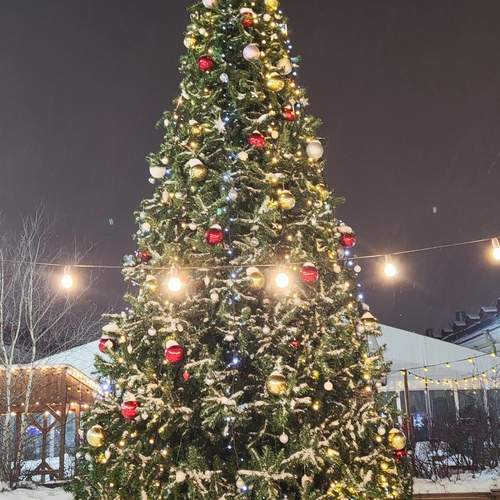 Photo #13042879