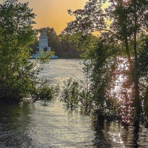 Photo #13042895