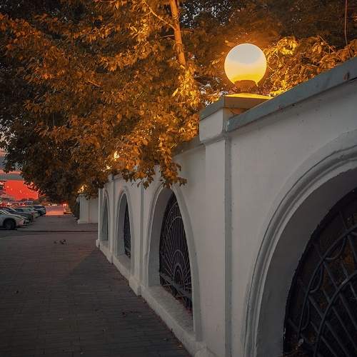 Photo #13042896