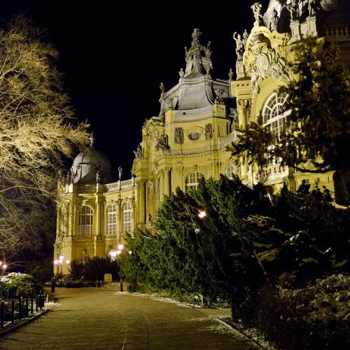 Photo #13042917