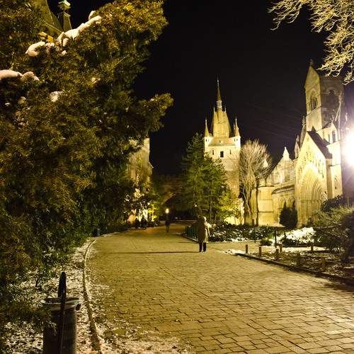 Photo #13042921
