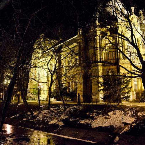 Photo #13042942