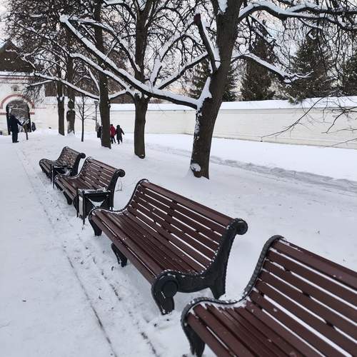 Photo #13043290