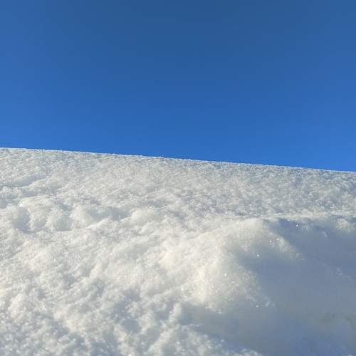 Photo #13043447