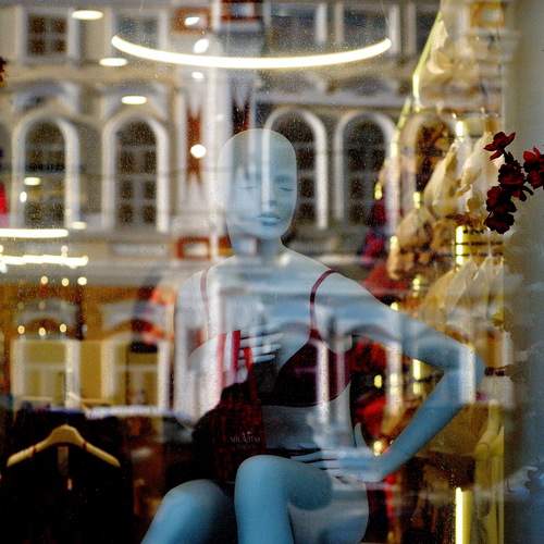 Photo #13043610