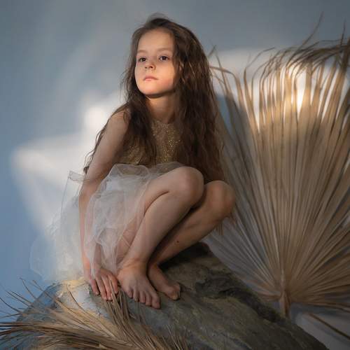 Photo #13043651