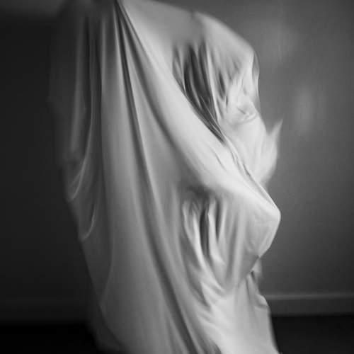 Photo #13043726