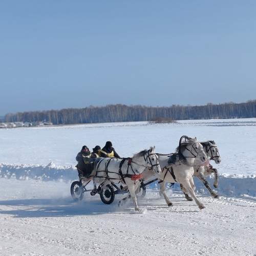 Photo #13043804