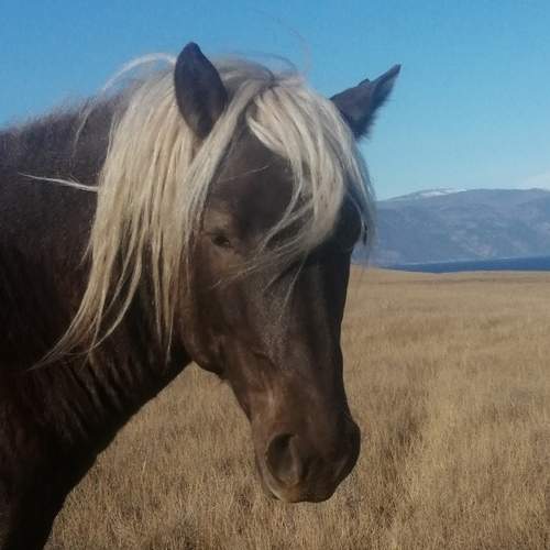 Photo #13043805