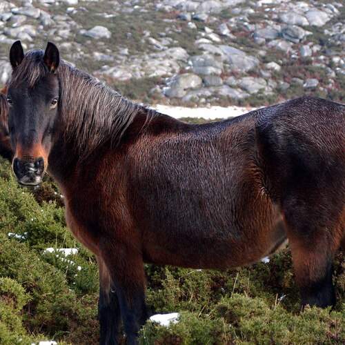 Photo #13043843