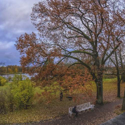Photo #13043864