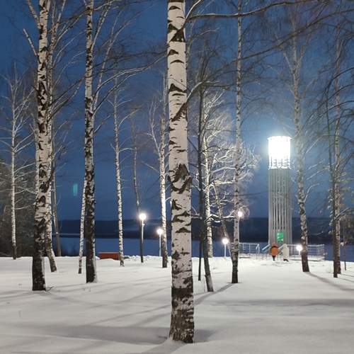 Photo #13043945