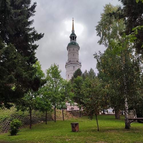 Photo #13043950