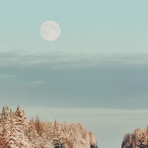 Photo #13044007