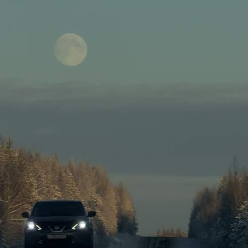 Photo #13044012