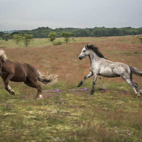 Фотография #13044042