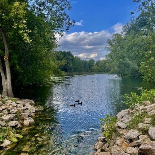 Photo #13044105